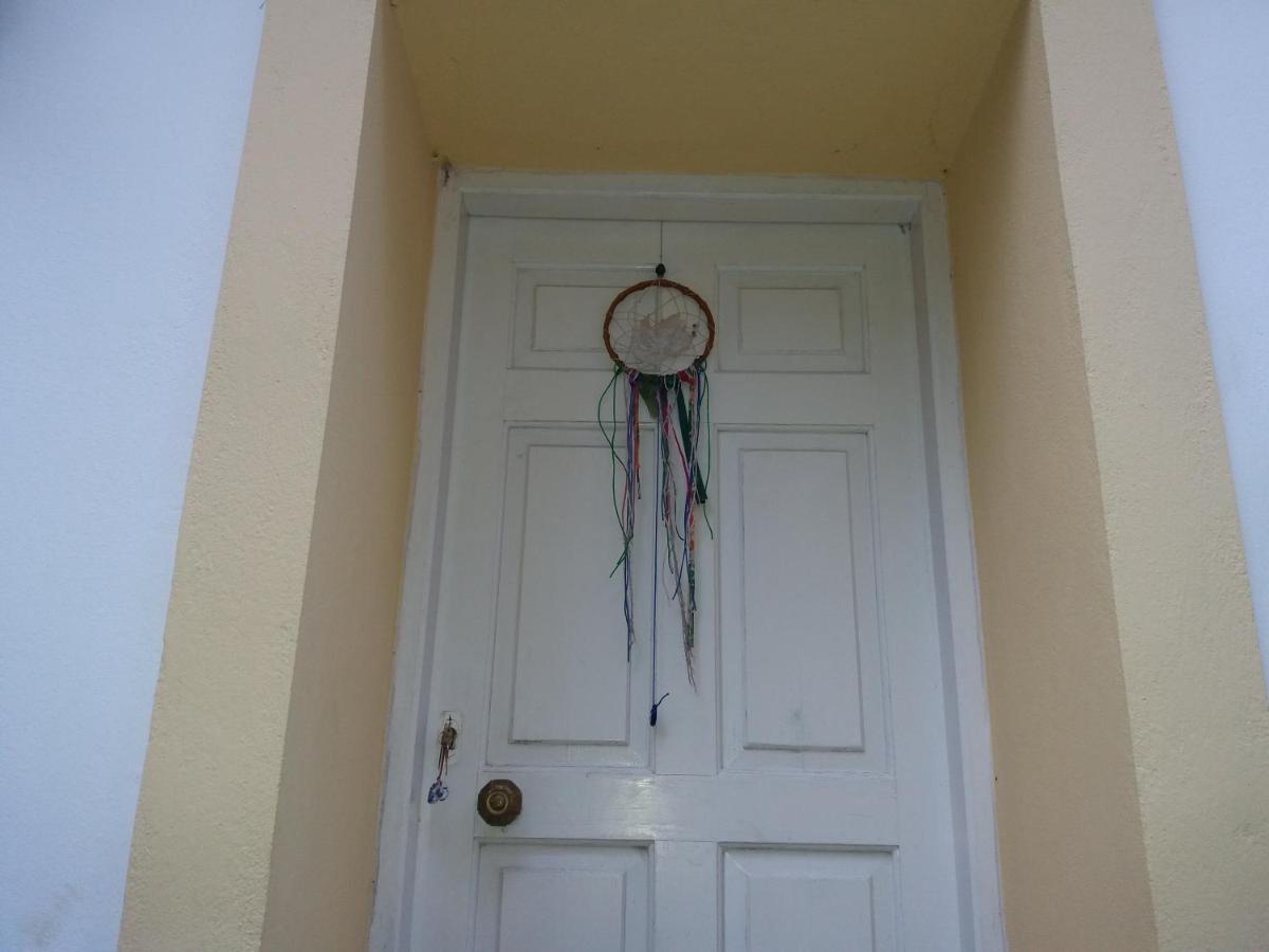 Elm Tree Dream Catcher Strinilas المظهر الخارجي الصورة